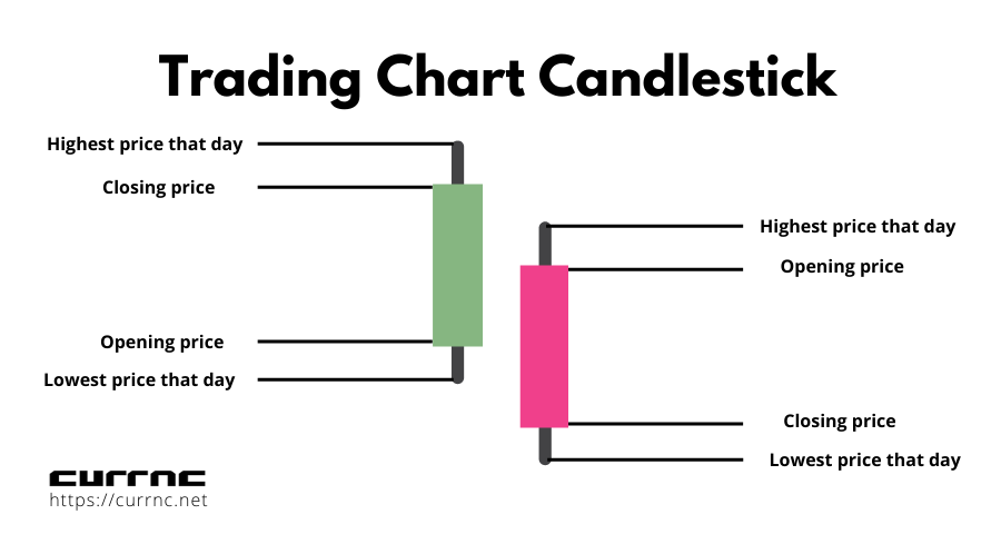 Trading chart candlestick infographic explanation